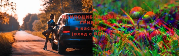 мяу мяу мука Армянск